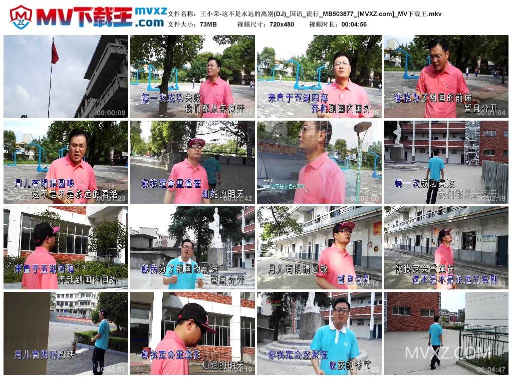 王小荣-这不是永远的离别(DJ)_国语_流行_MB503877